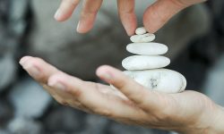 Etiam commodo convallis