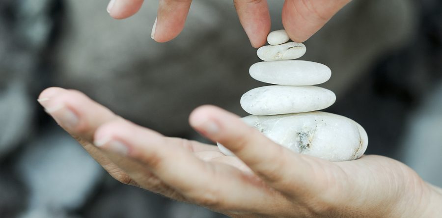 Etiam commodo convallis