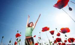 Lorem ipsum dolor sit