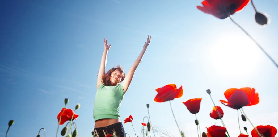 Lorem ipsum dolor sit